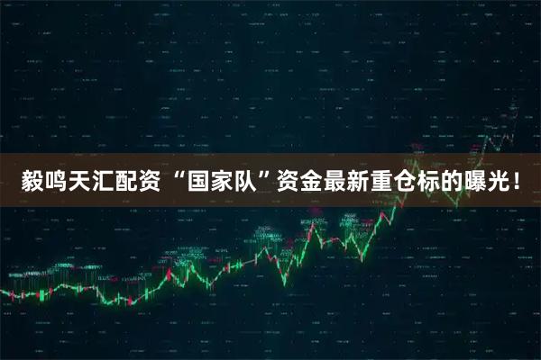 毅鸣天汇配资 “国家队”资金最新重仓标的曝光！