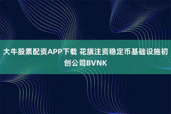 大牛股票配资APP下载 花旗注资稳定币基础设施初创公司BVNK