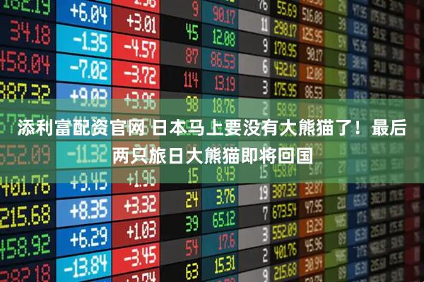 添利富配资官网 日本马上要没有大熊猫了！最后两只旅日大熊猫即将回国