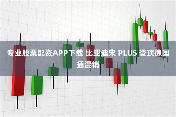 专业股票配资APP下载 比亚迪宋 PLUS 登顶德国插混销
