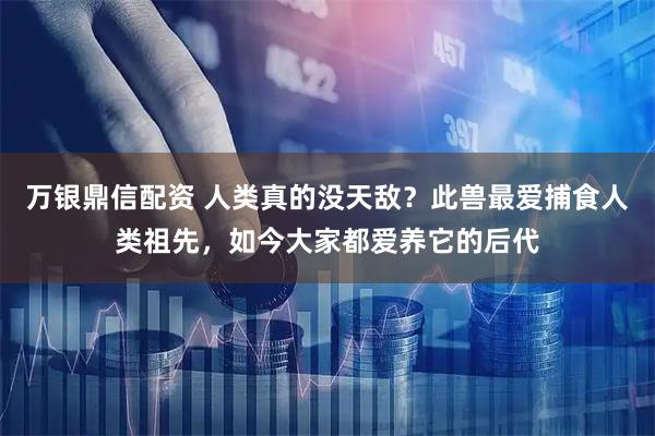 万银鼎信配资 人类真的没天敌？此兽最爱捕食人类祖先，如今大家都爱养它的后代